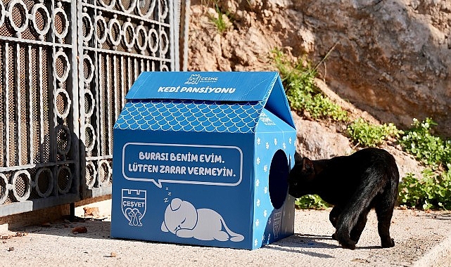 Çeşme Belediyesi’nden sokaktaki minik patilere sıcak bir yuva!
